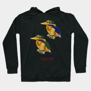 Rufous-collared Kingfisher | Actenoides concretus ⚥ Hoodie